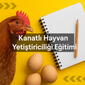 Kanatlı Hayvan Yetiştiriciliği Eğitimi